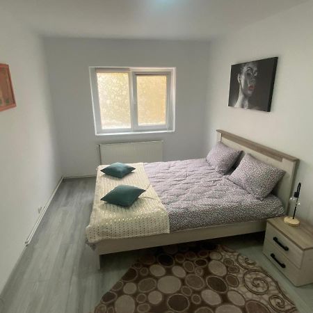 Apartment Dabic Remote And Fun Braşov Dış mekan fotoğraf