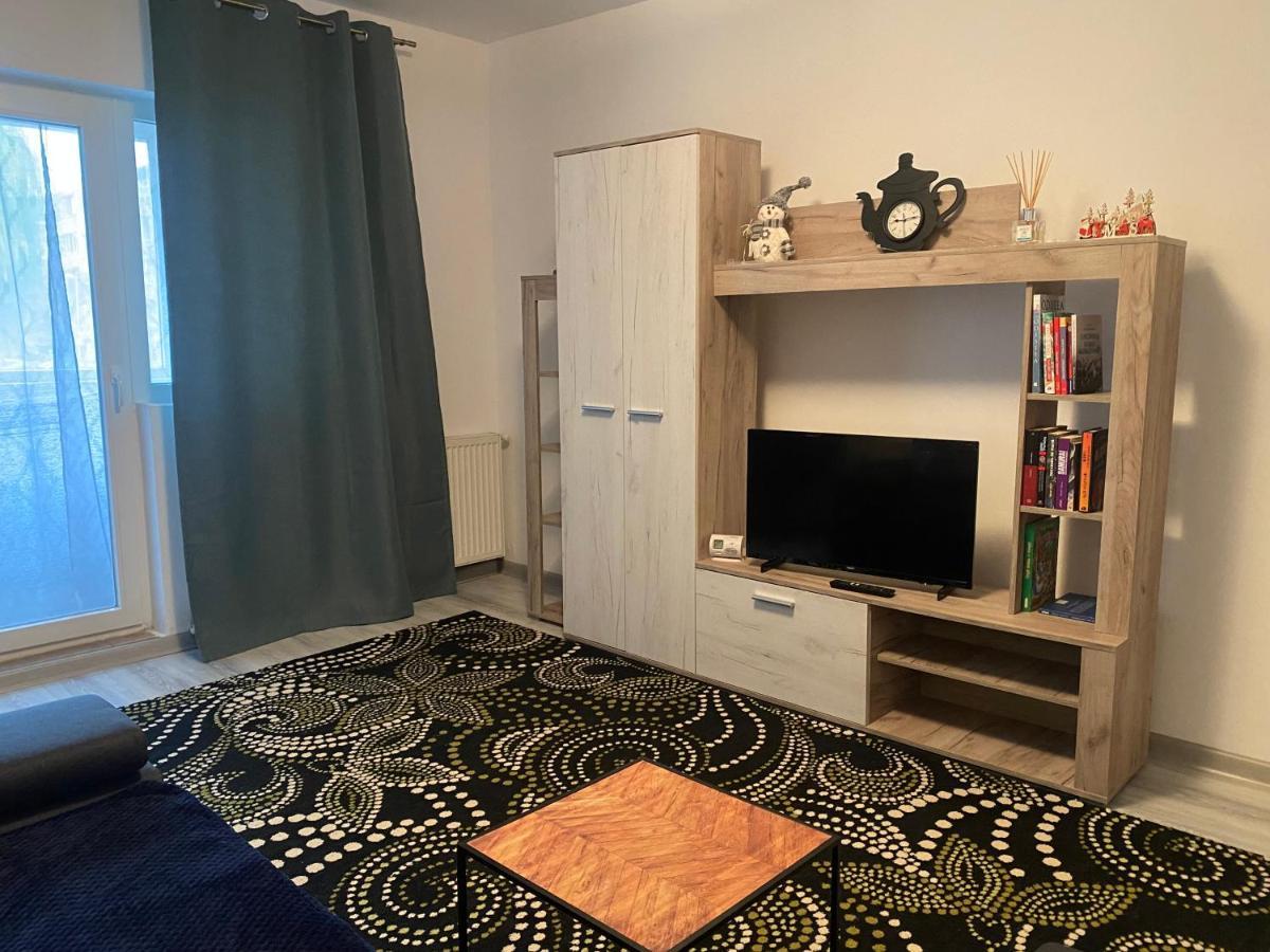 Apartment Dabic Remote And Fun Braşov Dış mekan fotoğraf