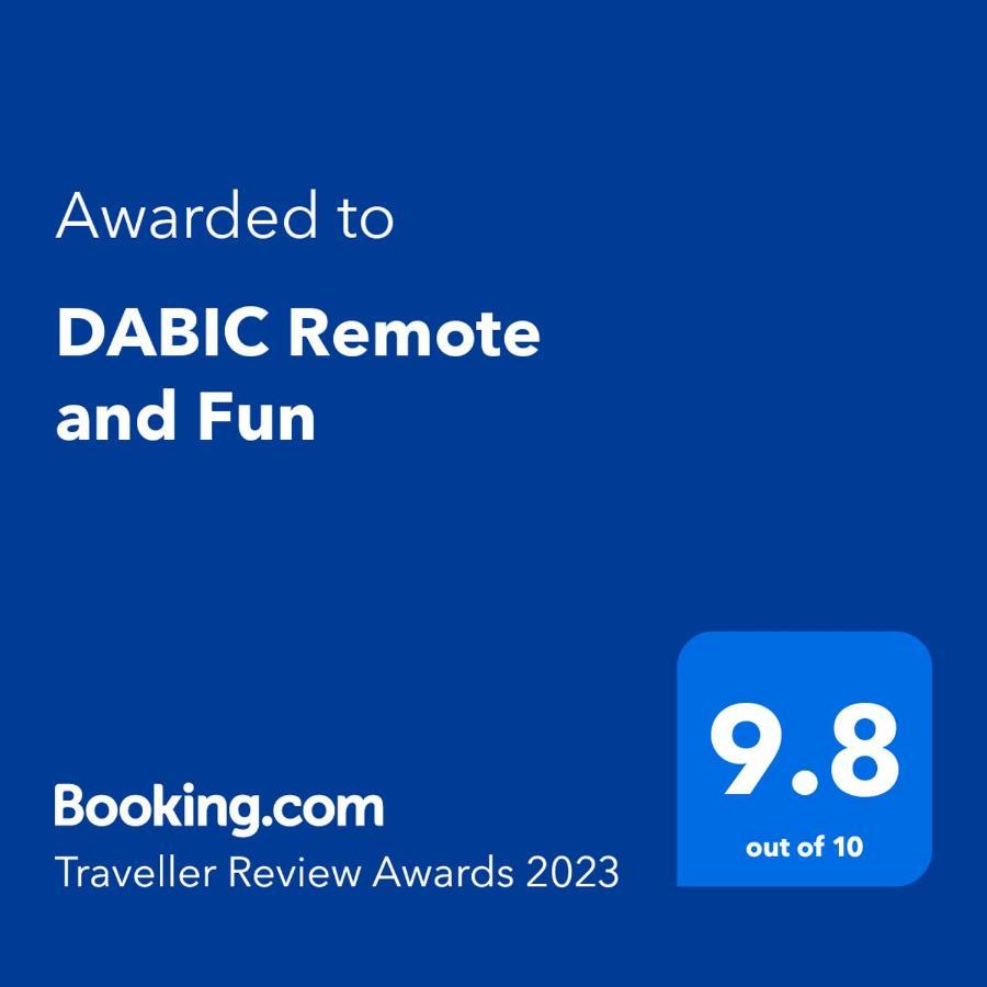 Apartment Dabic Remote And Fun Braşov Dış mekan fotoğraf